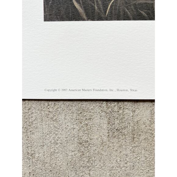 1983 Charles Fracé “A Moment’s Rest, Cheetah” Signed Large Print w/COA 32”X24” - Picture 10 of 10